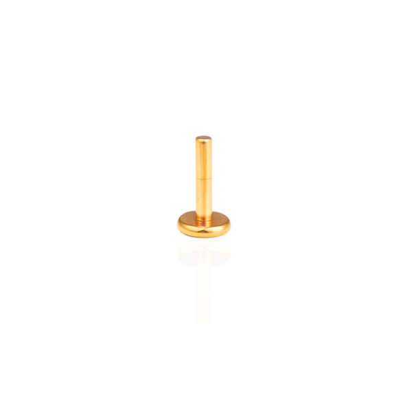 Haste 6mm aço pvd gold