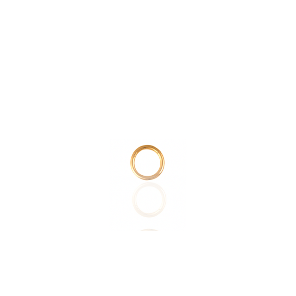 Argola lisa titânio pvd gold 6mm
