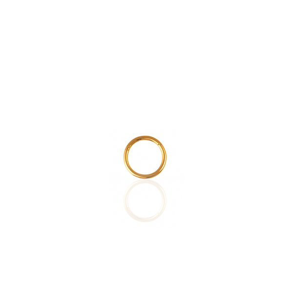 Argola lisa titânio pvd gold 8mm