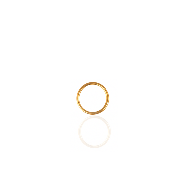 Argola lisa aço pvd gold 10mm
