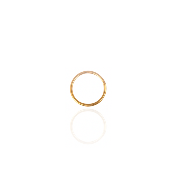 Argola lisa aço pvd gold 12mm