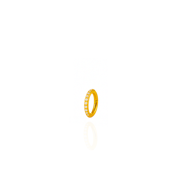 Argola cravejada aço pvd gold 6mm
