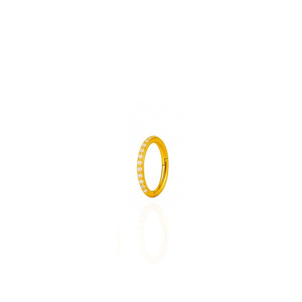 Argola cravejada aço pvd gold 8mm