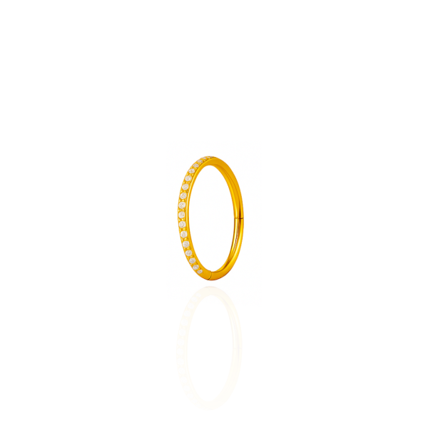 Argola cravejada aço pvd gold 12mm
