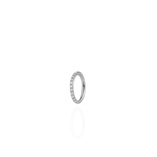 Argola cravejada aço natural 8mm