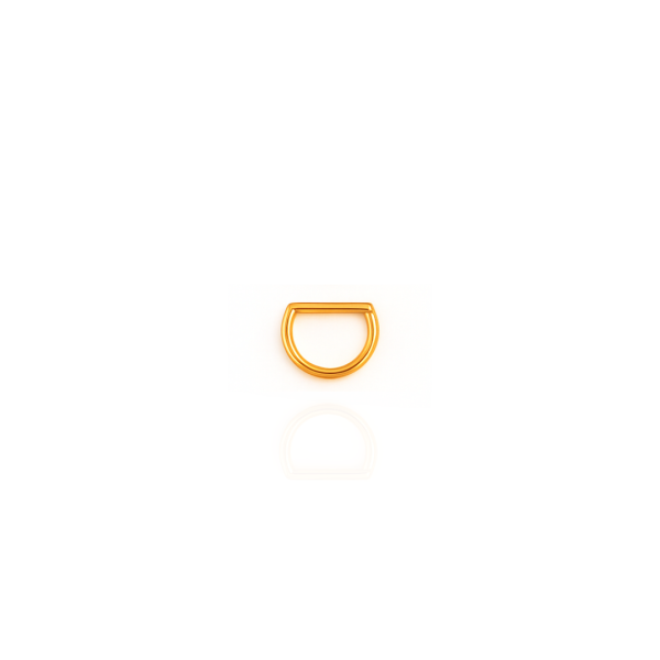 Argola D lisa aço pvd gold 8mm