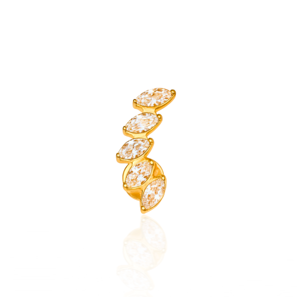 Cluster cinco pedras titânio pvd gold